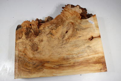 Horse Chestnut Burl 360x310x70mm - Roka0450