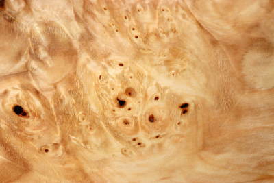 Horse Chestnut Burl 390x180x70mm - Roka0409