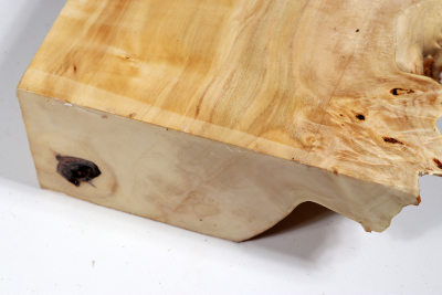 Horse Chestnut Burl 390x180x70mm - Roka0409