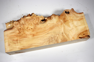 Horse Chestnut Burl 390x180x70mm - Roka0409