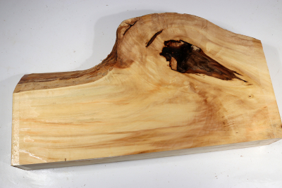 Horse Chestnut Burl 440x240x75mm - Roka0447