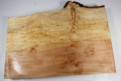 Horse Chestnut Burl 450x340x58mm - Roka0466