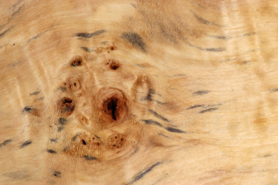 Horse Chestnut Burl 450x340x58mm - Roka0466