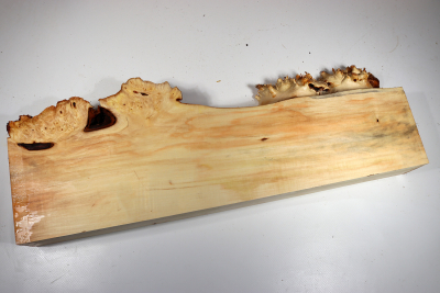 Horse Chestnut Burl 575x190x68mm - Roka0414