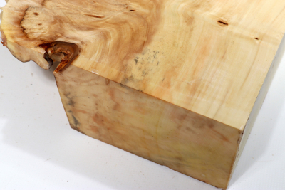 Horse Chestnut Burl 575x190x68mm - Roka0414