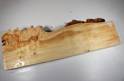 Horse Chestnut Burl 575x190x68mm - Roka0414