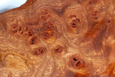 Elm Burl 255x170x45mm - RuesM0519