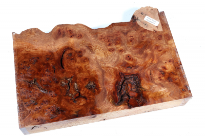 Elm Burl 255x170x45mm - RuesM0519