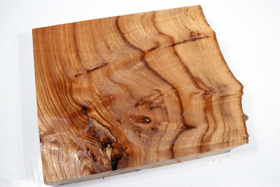 Elm Burl 270x215x50mm - RuesM0581