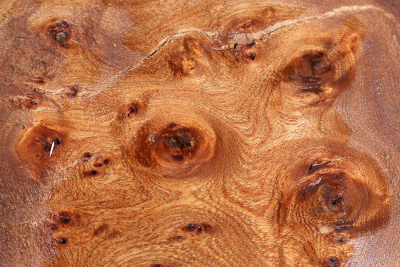 Elm Burl 380x305x50mm - RuesM0529