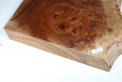 Elm Burl 380x305x50mm - RuesM0529