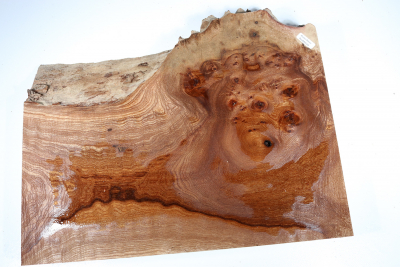 Elm Burl 380x305x50mm - RuesM0529