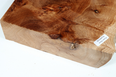 Elm Burl 385x200x50mm - RuesM0539