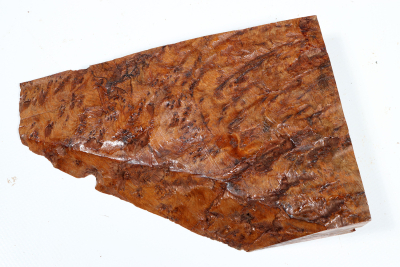 Burl Slab Thuya Burl 185x125x35mm - ThujM0994