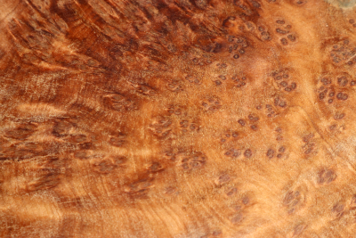 Burl Slab Thuya Burl 320x150x80mm - ThujM1011