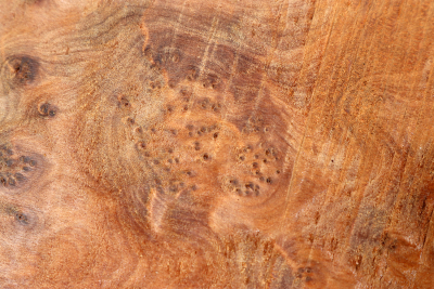 Burl Slab Thuya Burl 500x320x40mm - ThujM1009