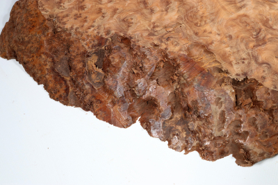 Burl Slab Thuya Burl 500x320x40mm - ThujM1009