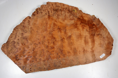 Burl Slab Thuya Burl 500x320x40mm - ThujM1009