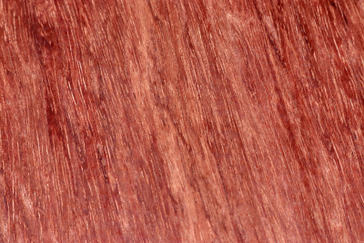 Drechselklotz Bubinga 160x160x80mm - Bubi0305