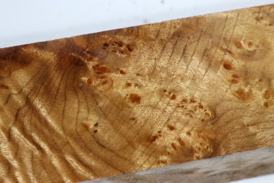 Square Golden Madrone Burl 330x52x52mm - GMadr0479