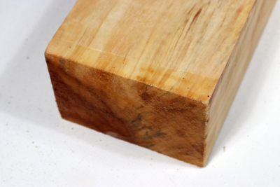 Horse Chestnut 435x90x60mm - Roka0430