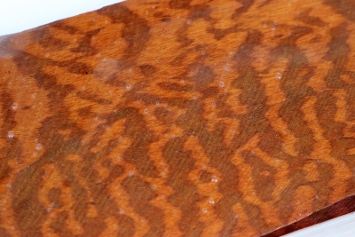 Snakewood 200x65x65mm - Snake0437