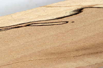 Square Beech spalted 305x65x65mm - GestBu0397