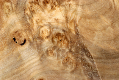 Block Maple Burl spalted 225x210x60mm - Ahorn0329