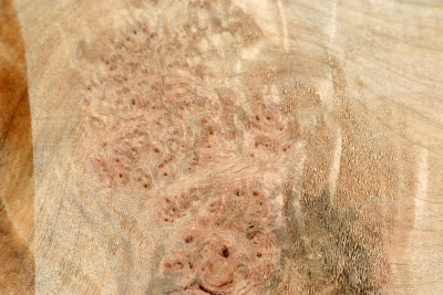 Block Maple Burl spalted 245x185x60mm - Ahorn0318