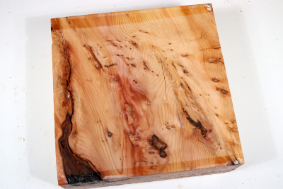 Block Yew Burl 200x200x70mm - Eib1456