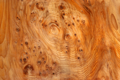 Block Yew Burl 200x200x70mm - Eib1468