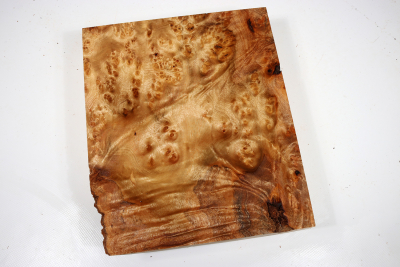 Block Golden Madrone Burl 245x210x60mm - GMadr0409