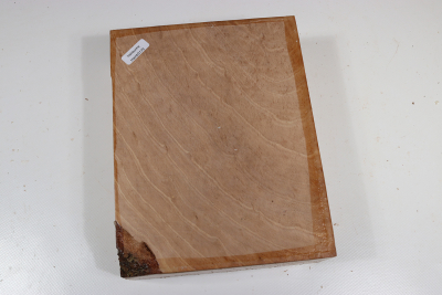 Block Hornbeam Burl 205x160x65mm - HainB0179