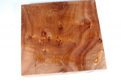 Block Elm Burl 265x250x50mm - RuesM0530