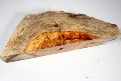 Burl Slab Amboyna Burl Sapwood 340x120x65mm- AmboM0649