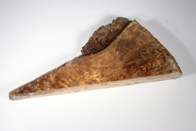 Burl Slab Amboyna Burl Sapwood 340x140x50mm- AmboM0585