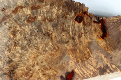 Burl Slab Amboyna Burl Sapwood 340x140x50mm- AmboM0585