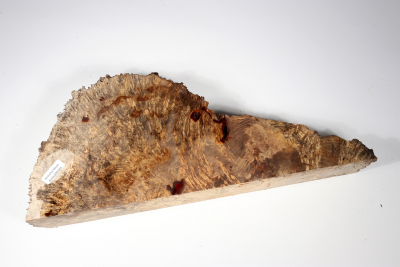 Burl Slab Amboyna Burl Sapwood 340x140x50mm- AmboM0585