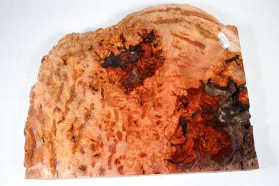 Burl Slab Anthill Burl 330x270x35mm- Anth0042