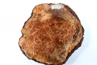 Burl Cap Chechen Burl 180x165x75mm - ChechM0314