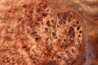 Burl Cap Chechen Burl 240x180x115mm - ChechM0317