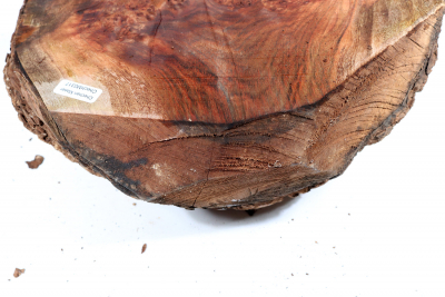 Burl Cap Chechen Burl 240x180x115mm - ChechM0317