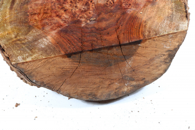 Burl Cap Chechen Burl 240x180x115mm - ChechM0317