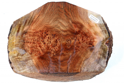 Burl Cap Chechen Burl 240x180x115mm - ChechM0317