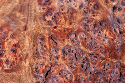 Burl Cap Chechen Burl 320x200x175mm - ChechM0312