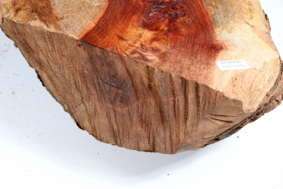 Burl Cap Chechen Burl 350x260x165mm - ChechM0308