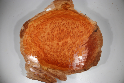 Burl Cap Coolibah 460x430x115mm - Cool0112