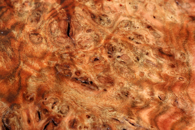 Chechen Burl 560x380x58mm - ChechM0276