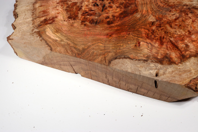 Chechen Burl 560x380x58mm - ChechM0276