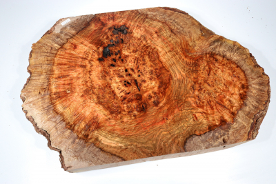 Chechen Burl 560x380x58mm - ChechM0276